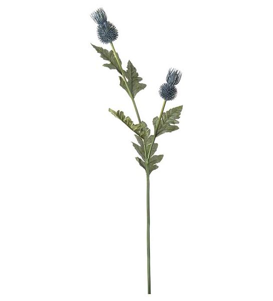 Hovedbilde Tistel (blå 92 cm)