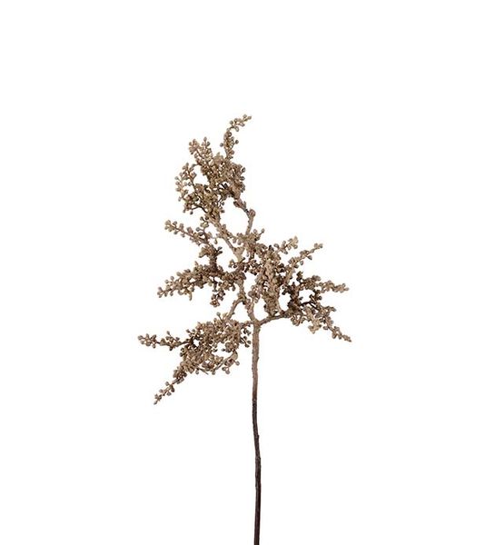 Hovedbilde Bærkvist (brun 60 cm)