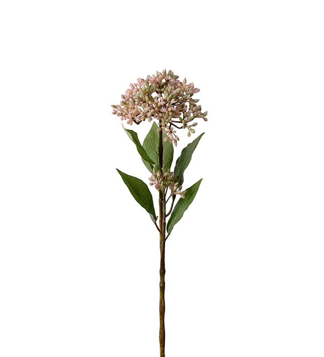 Bærkvist (rosa 50 cm)