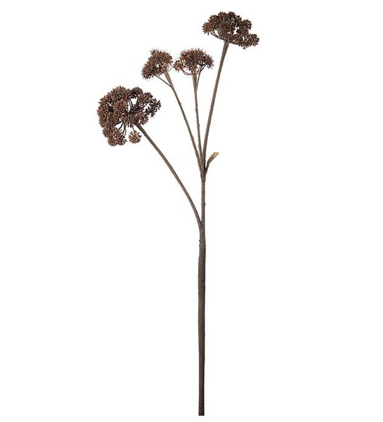 Hovedbilde Angelica (125 cm) brun