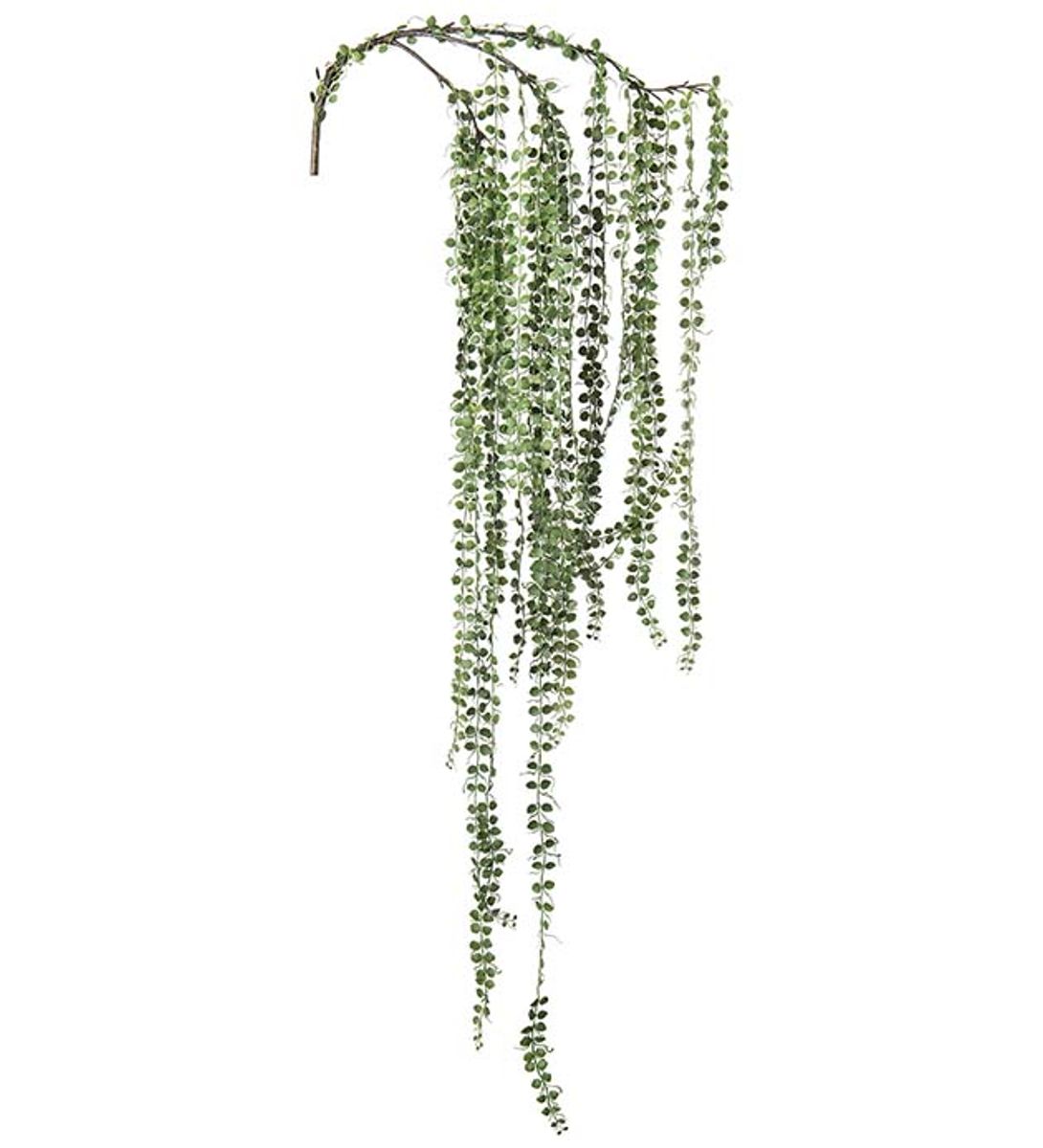 Senecio (grønn 110 cm)